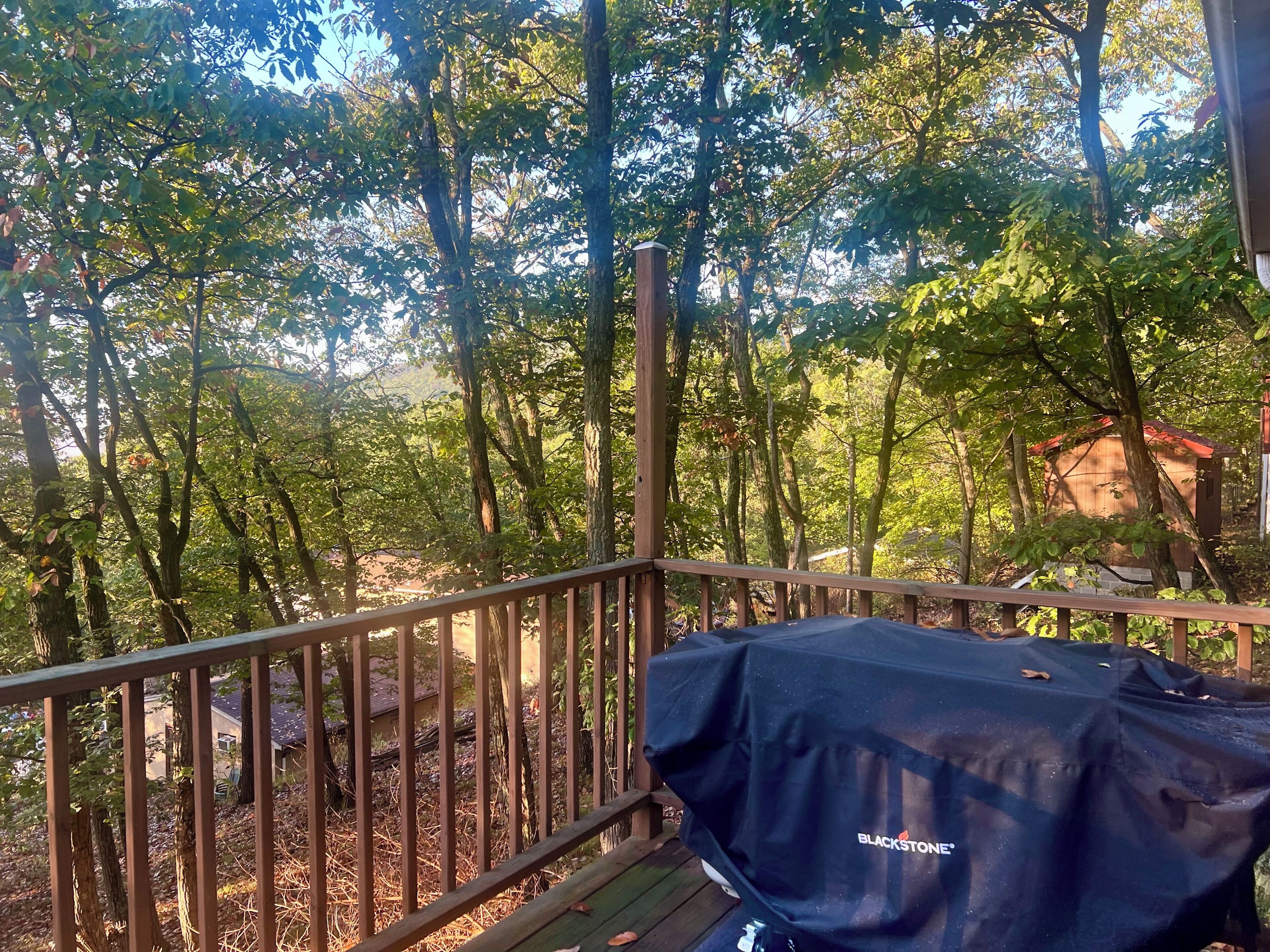 Overnattingsstedets uteområder