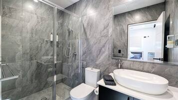 Shower, hair dryer, bidet, toilet paper