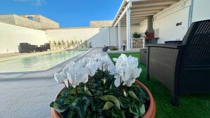 A pool area with a potted plant of white flowers and green foliage, outdoor furniture, and a building with a covered patio.