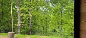 At the heart of the Famenne-Ardennes: Villa for 8 with sauna & private forest