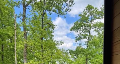 At the heart of the Famenne-Ardennes: Villa for 8 with sauna & private forest