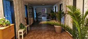 Family-friendly Guesthouse in the Oderbruch