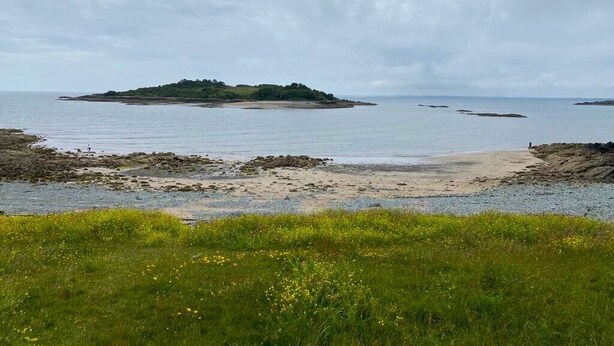 Un paisaje costero con un primer plano herboso, una playa arenosa y una pequeña isla en la distancia.