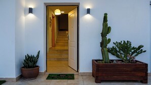 Une porte donnant sur un escalier, de part et d’autre de laquelle se trouvent deux plantes en pot et un jardinière en bois contenant un cactus.
