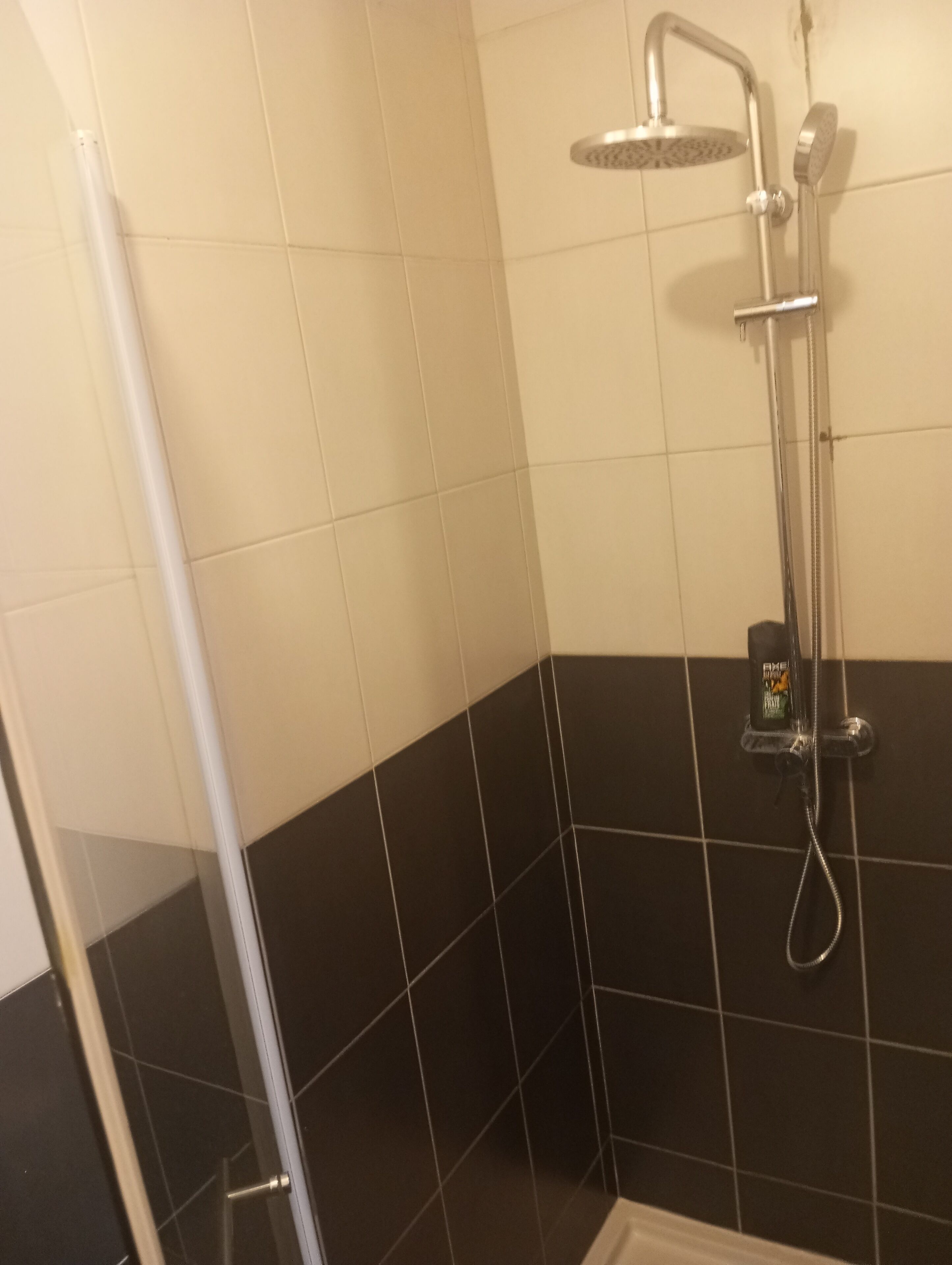 Dusche, Haartrockner, Seife