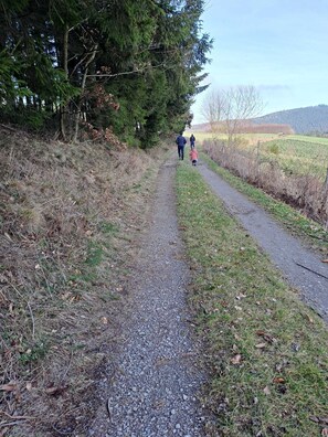 Miscellaneous - 5 minutes from the Green Hill Bikepark and the Hunau slope Family apartment! (Schmallenberg)