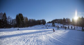 Snow and ski sports - 5 minutes from the Green Hill Bikepark and the Hunau slope Family apartment! (Schmallenberg)