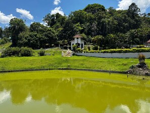 Property grounds - Beautiful property surrounded by the Atlantic rainforest. (Barnabés)