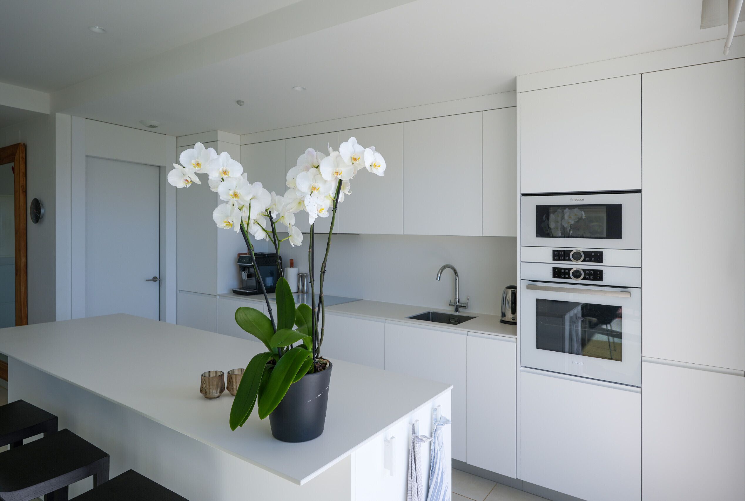 A modern kitchen with white cabinets, a Bosch oven, and a potted orchid on the counter.
