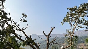 Jardín