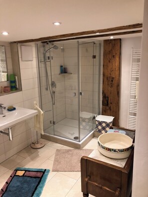 Shower, towels, toilet paper