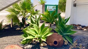 Un jardín con diversas plantas, una maceta de barro y un portón verde.