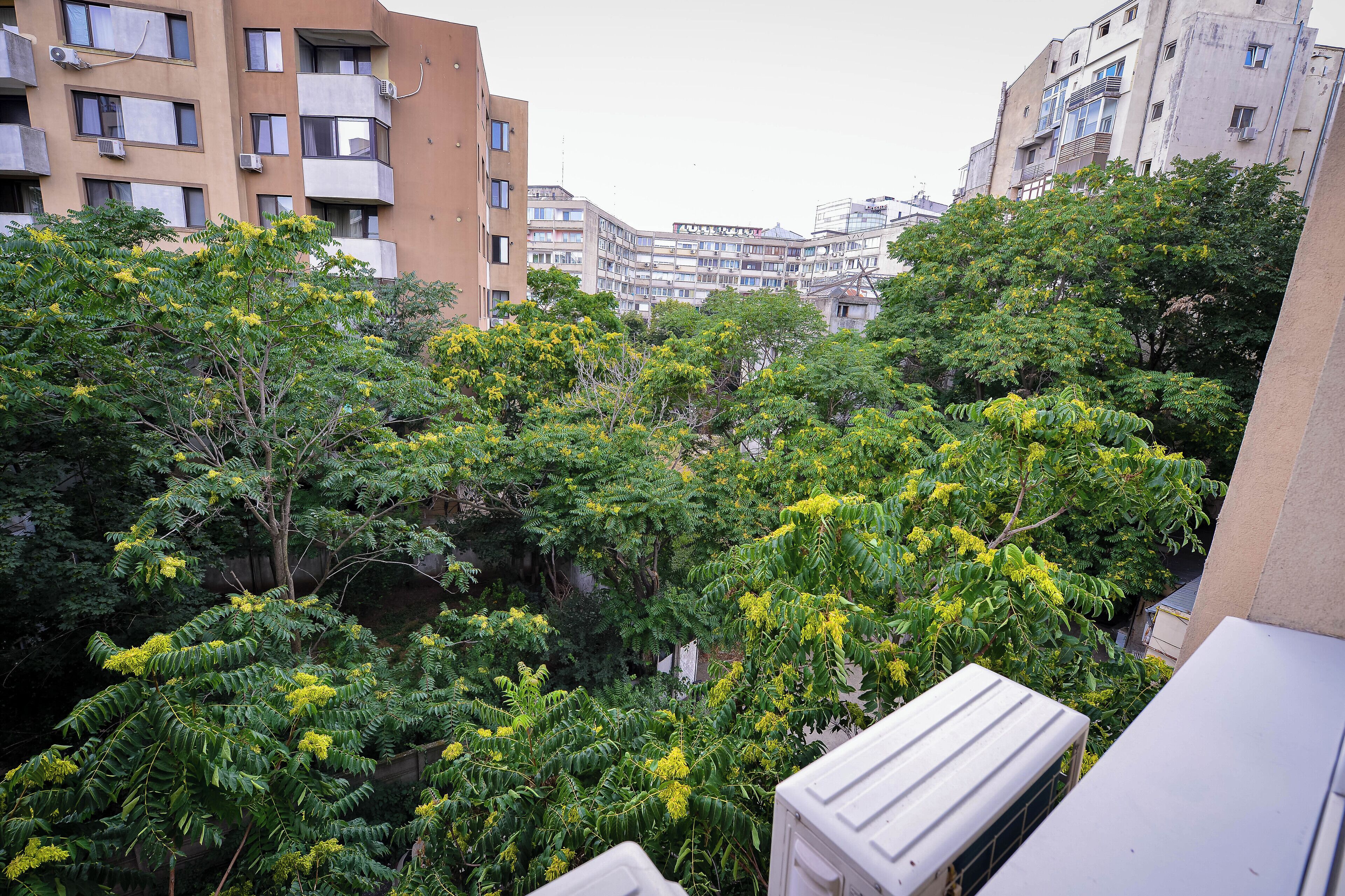 Terrain de l’hébergement 