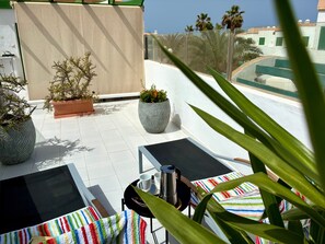 Terraço no telhado com área de estar, plantas em vasos e vista para palmeiras e edifícios.