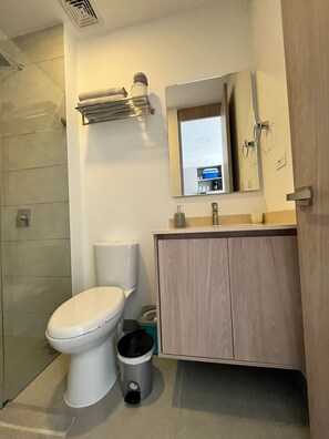 Douche, serviettes fournies, papier toilette