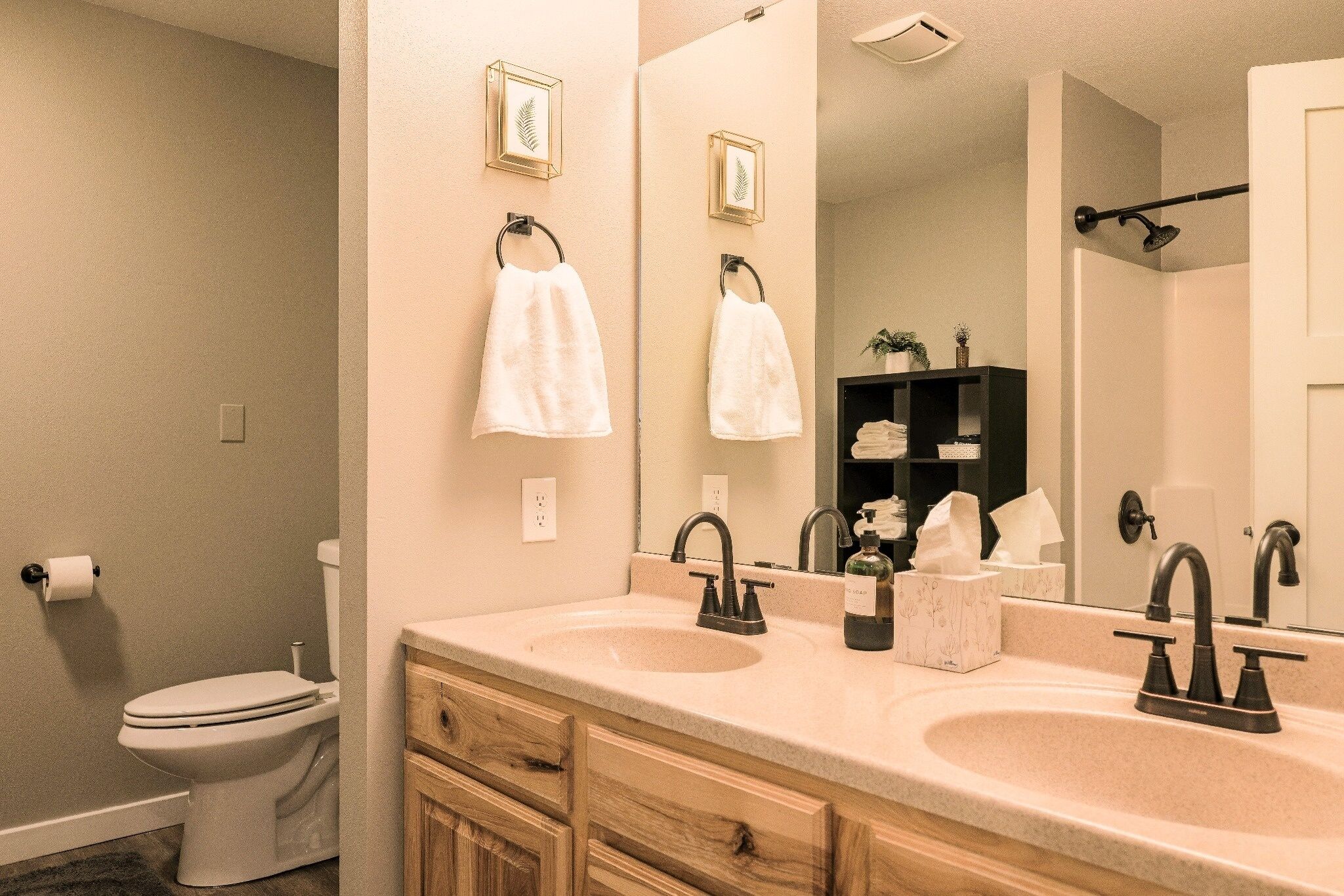 Shower, towels, soap, toilet paper