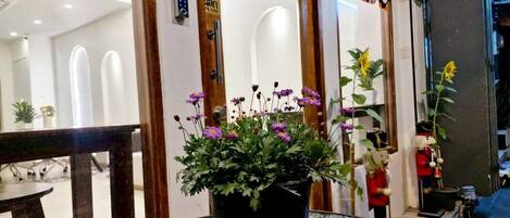 Vista frontal de la propiedad