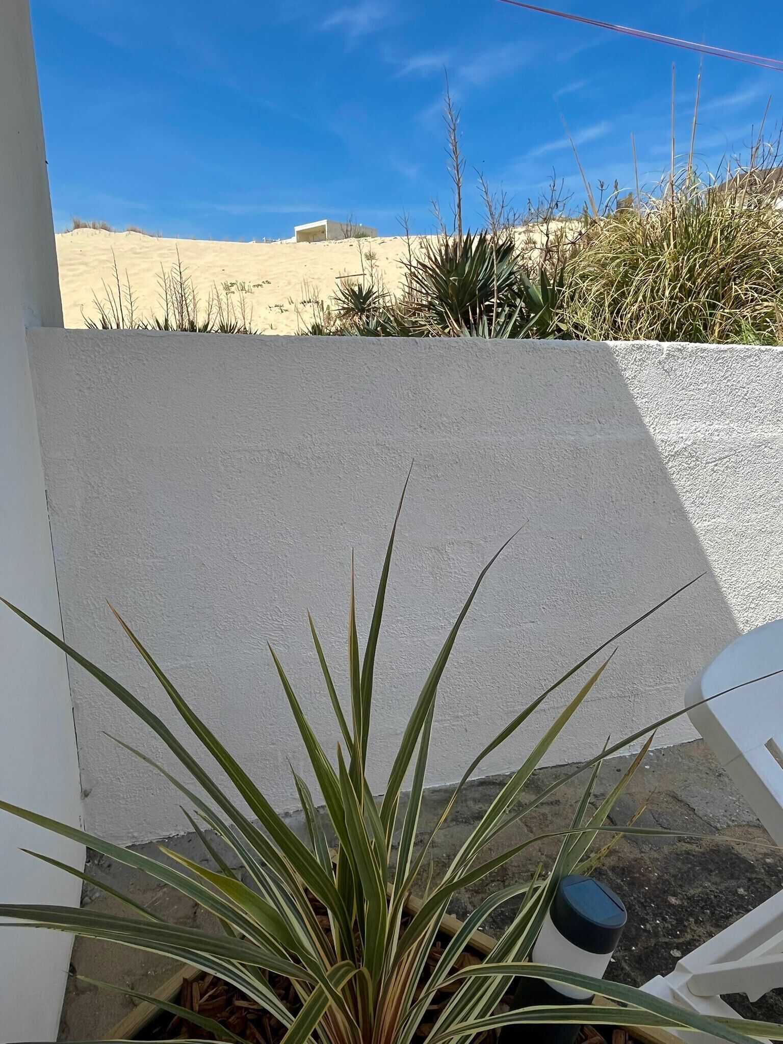 Pared blanca con una planta en primer plano, cielo azul despejado y un paisaje arenoso al fondo.