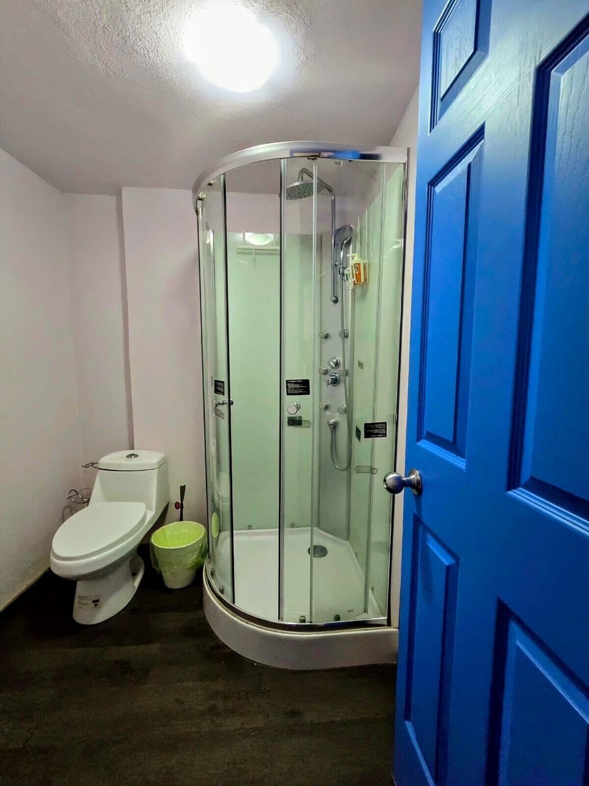 Un baño con ducha de vidrio, inodoro y puerta azul.
