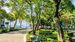 A park with a paved walkway, a green metal bench, and neatly trimmed bushes. - CAXA TEGUI (Mexico City)