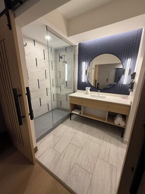 Bathroom - Palace Inn Blue 290 W 43rd & Bingle Rd (Houston)