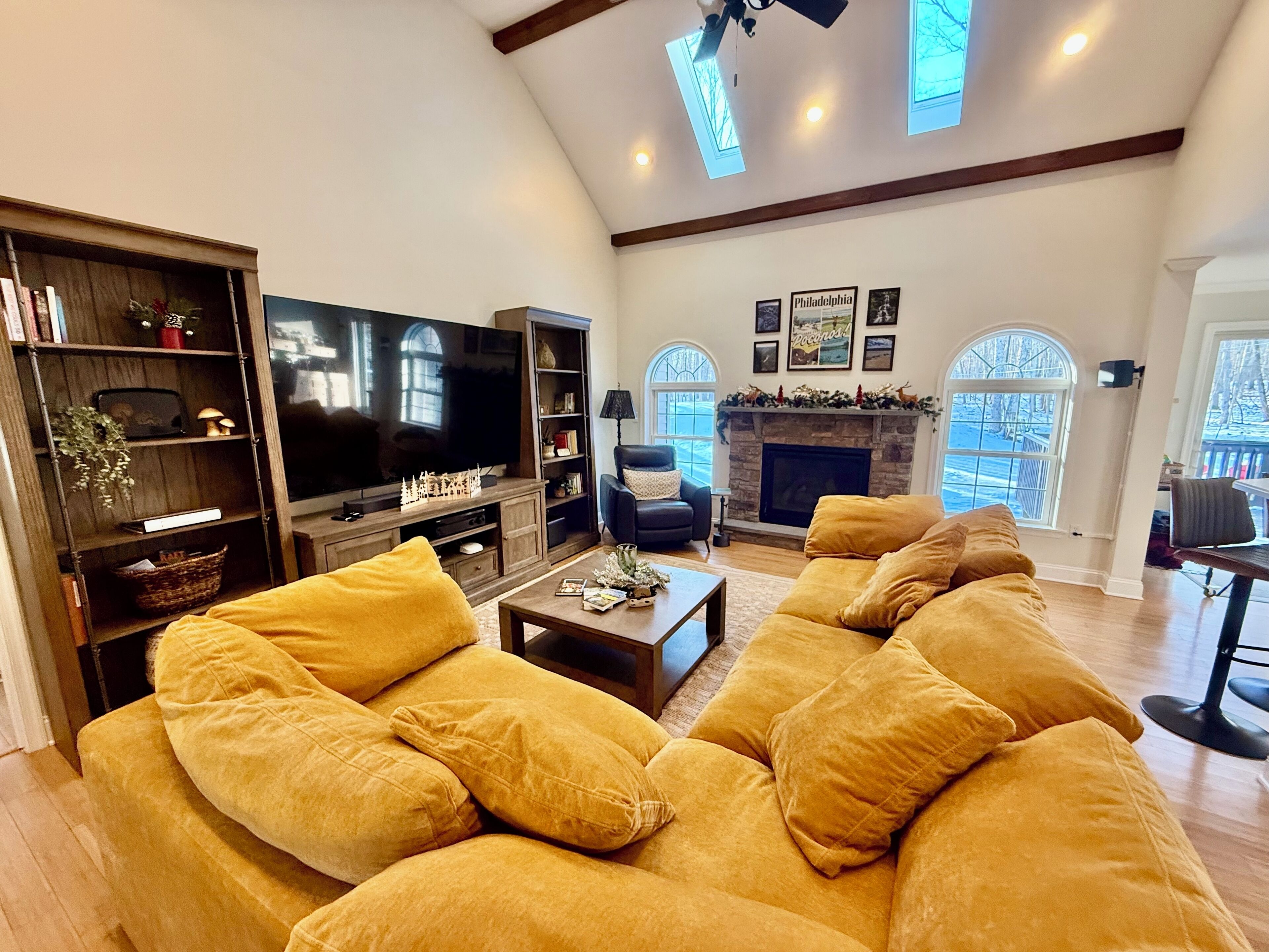 Smart TV, fireplace, video games, books