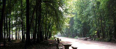 獨棟房屋 | 住宿景觀