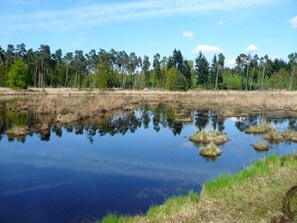 独立别墅 | 住宿景观
