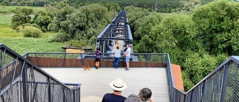 Apartment | Blick von der Unterkunft