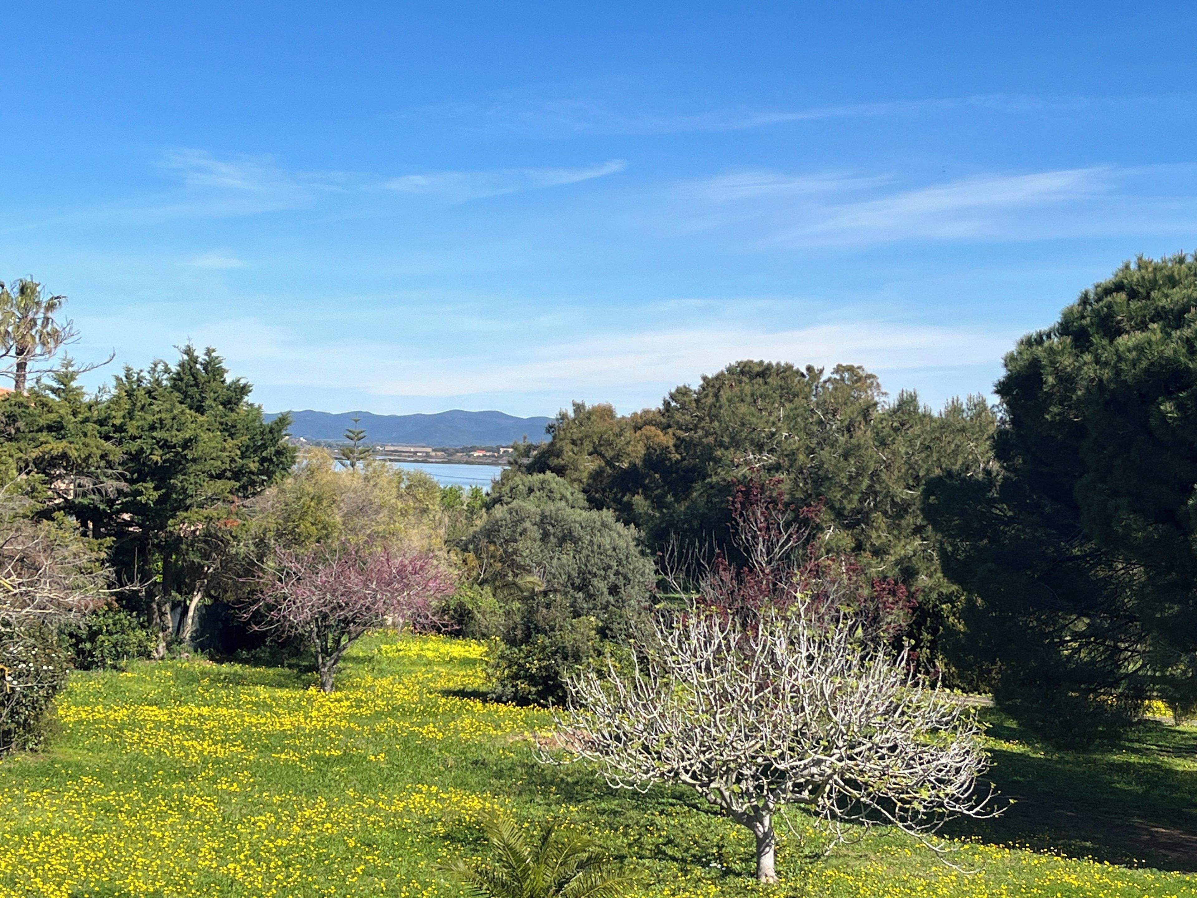 Un paysage avec un lac, des arbres et un ciel dégagé.