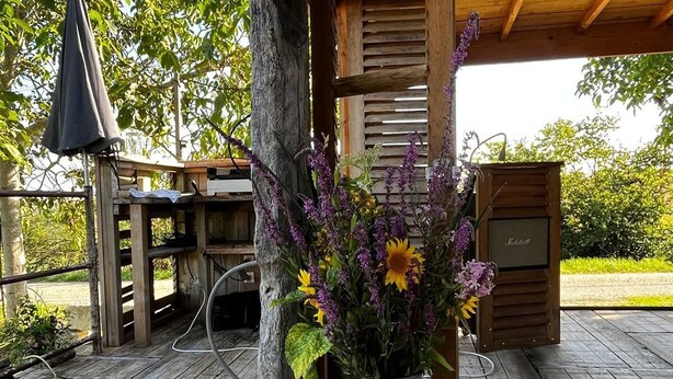 A wooden deck with a metal bucket of flowers, a grill, and a wooden structure with a nameplate. - Large family home with swimming pool ideal for holidays with friends or family (Sérignac)