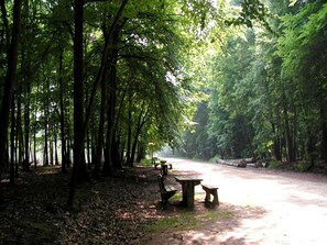 House | View from property - Two-bedroom Retreat in the Heart of Kempen (Ravels)