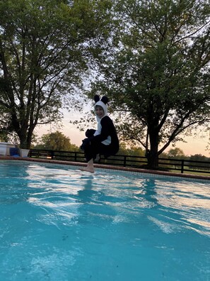 Pool - The Whipper Inn at Winfall ~ Horses Welcome (Catlett)