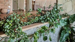 Un dormitorio moderno con pared de ladrillo, una pared de acento de piedra y un balcón con exuberante follaje.