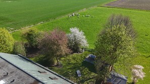 Eine Vogelperspektive auf eine grüne Wiese mit einer Schafherde, Bäumen und einem Gebäude mit geneigtem Dach.