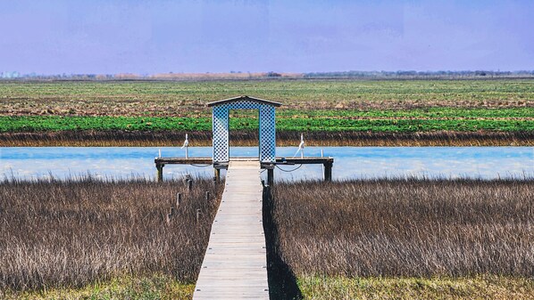 Un muelle de madera que conduce a una estructura metálica azul en un campo.