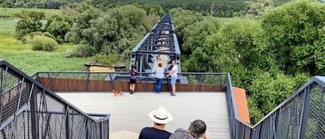 Apartment | View from property