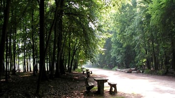 House | View from property