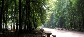 Luxury Forest Lodge With Private Garden