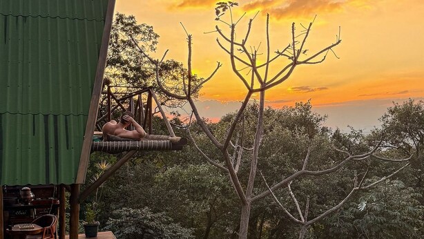 A wooden deck with a green roof, overlooking a lush garden and a sunset.