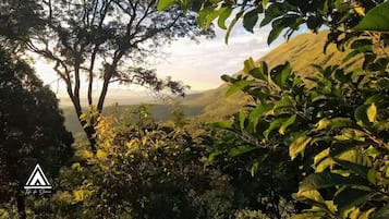 Paisagem verdejante e exuberante, com folhagem densa e colinas suaves ao longe.