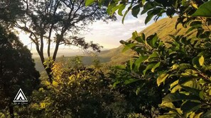 Un paisaje exuberante y verde con follaje denso y una vista distante de colinas onduladas.