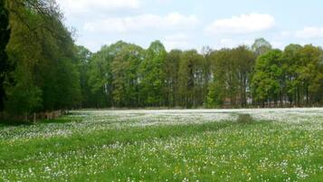 House | View from property