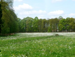 House | View from property - Beach Lodge With Lake View in Ravels (Ravels)
