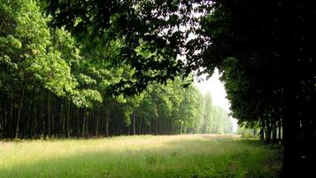 House | View from property