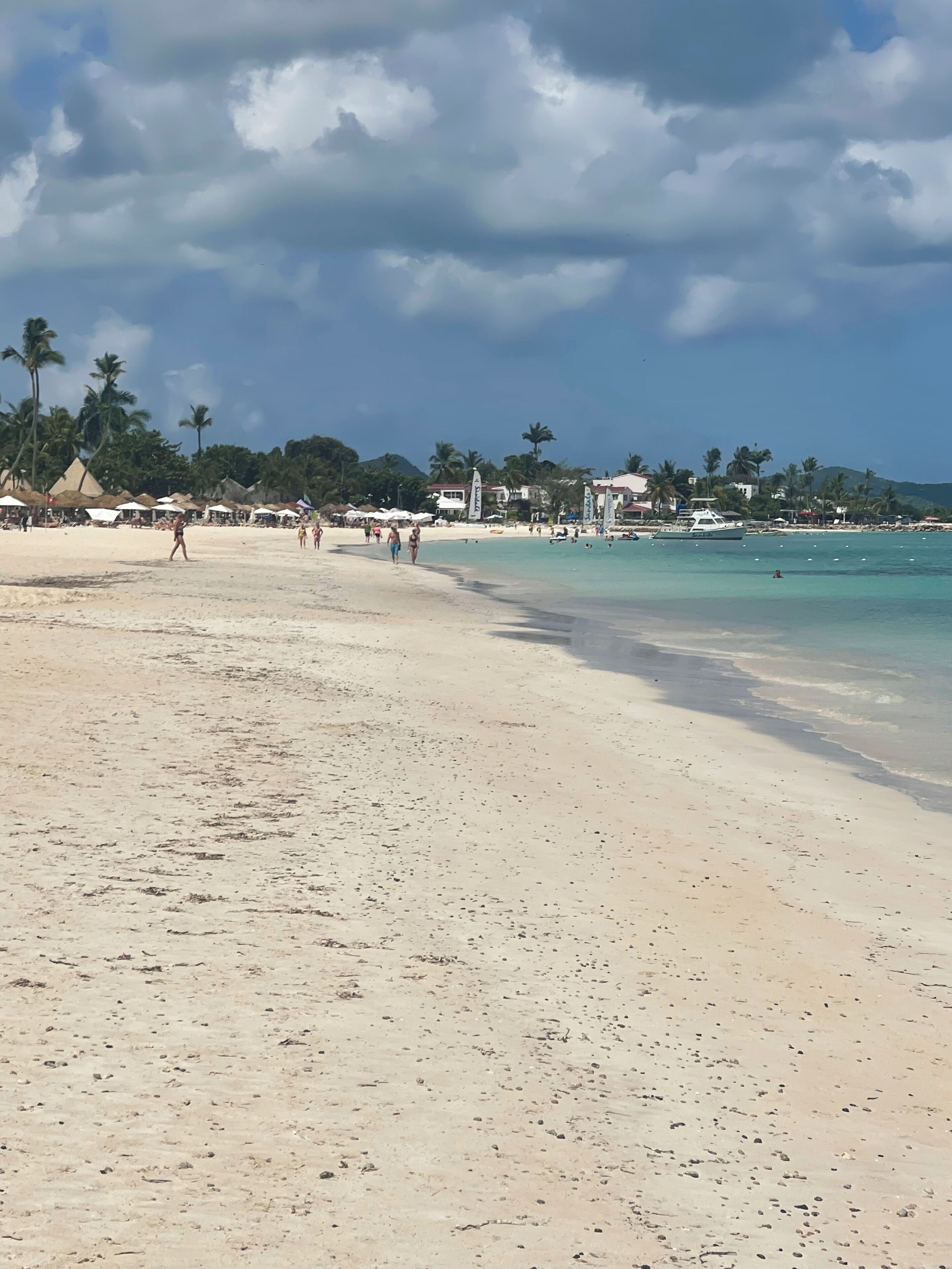 ビーチの近く、サンラウンジャー、ビーチタオル