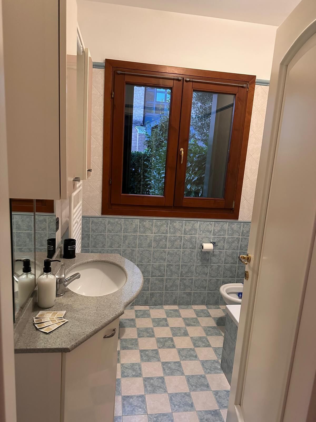 Hiustenkuivaaja, bidee, pyyhkeet, saippua