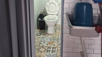 A bathroom with a toilet, a sink, and a shower area.