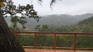 Um deck de madeira com guarda-corpo de metal, com vista para uma encosta arborizada.