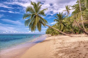 A beach with palm trees, clear blue water, and a sandy shore. - Tres Pipas- Tucan | Beachfront Arrecife, Wifi, AC (Punta Uva)